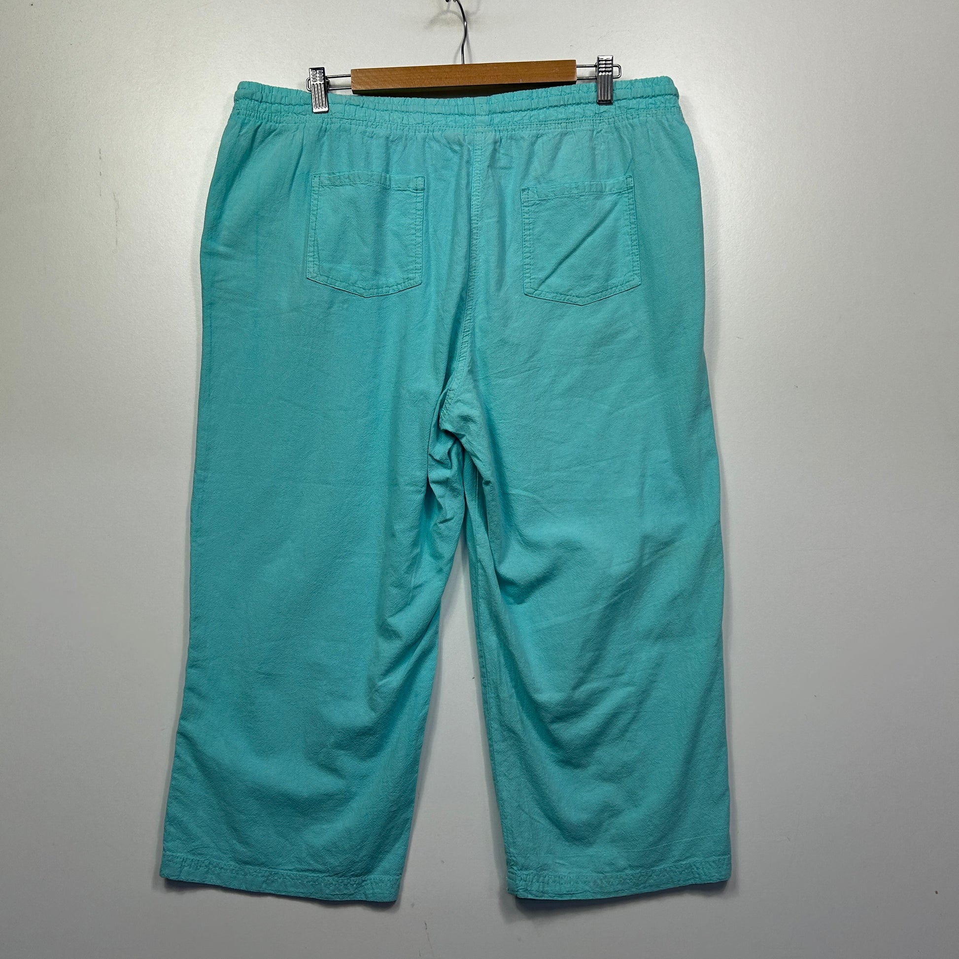 Turquoise cropped pants back view