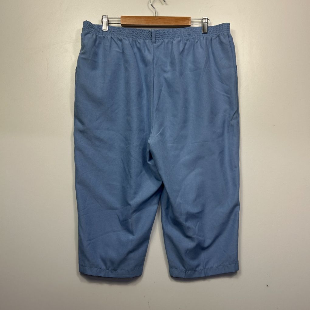 Blue cropped pants front view