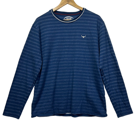 Blue striped long sleeve top front view