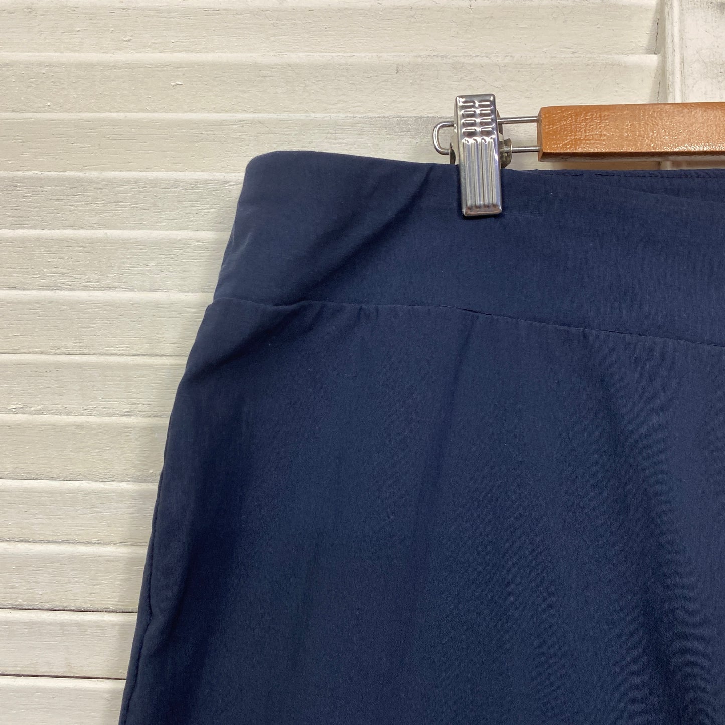 Sara Pants Size 24 Blue Ankle Length Pull On Office