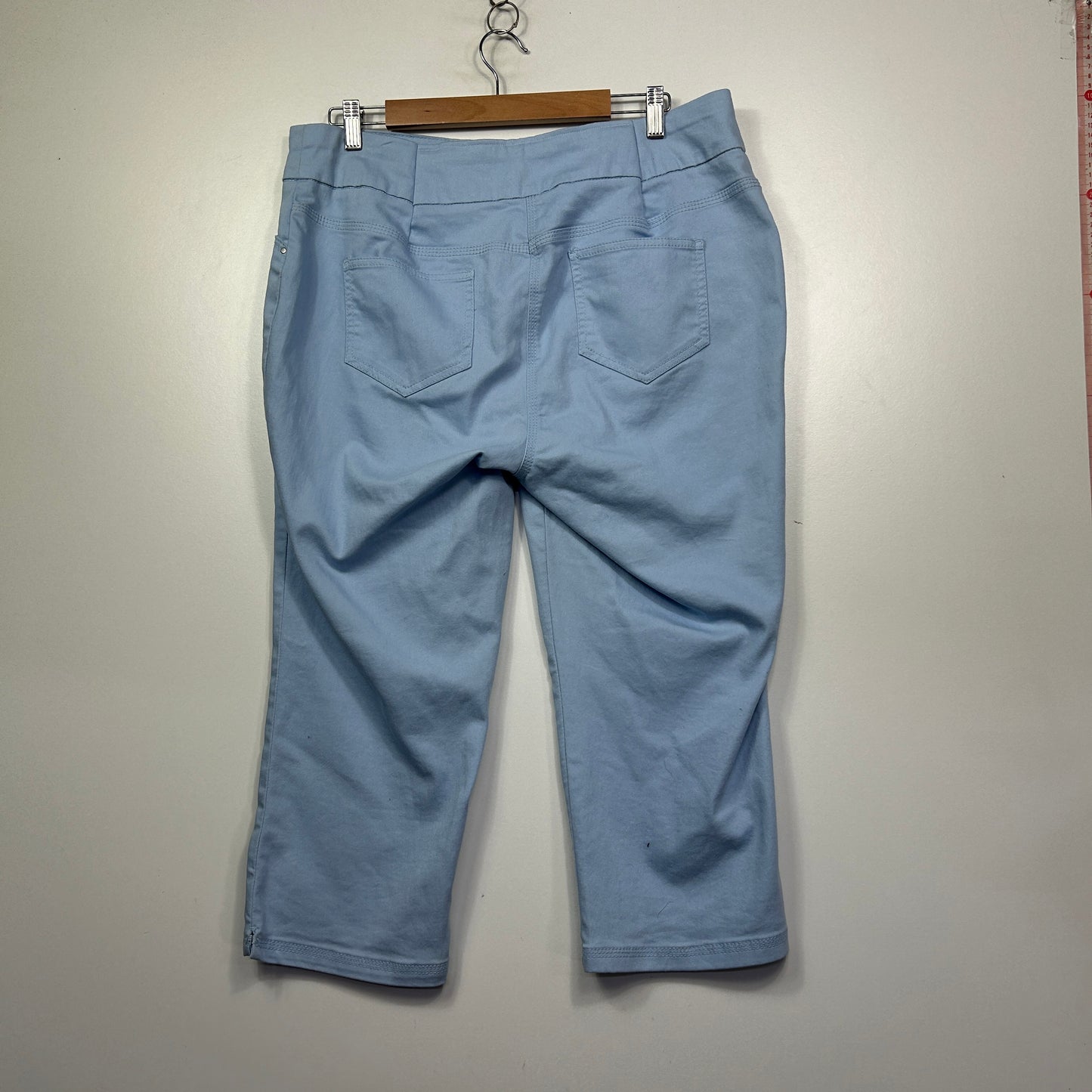 Millers Light Blue Capri Pants with Floral Embroidery - Size 18