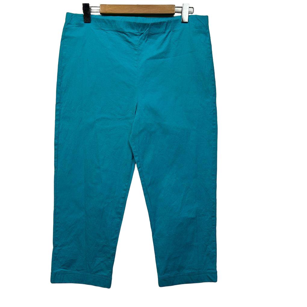 Orientique Teal Pants - Size 16