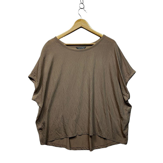 Suzanne Grae Taupe Plus Size Top - Size 2XL