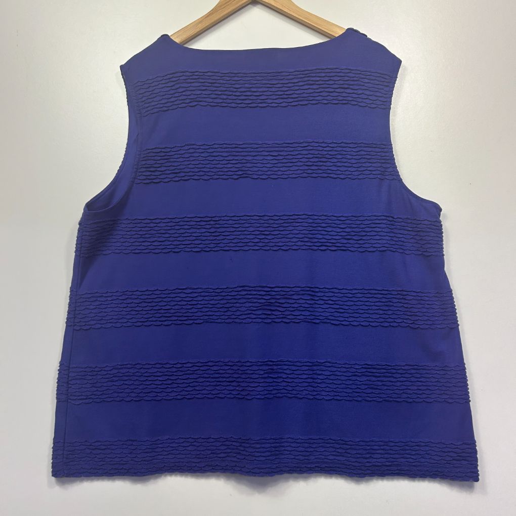 Blue striped sleeveless top front view