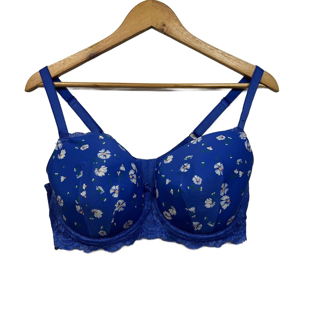 City Chic Blue Daisy Bra - Size 16DD
