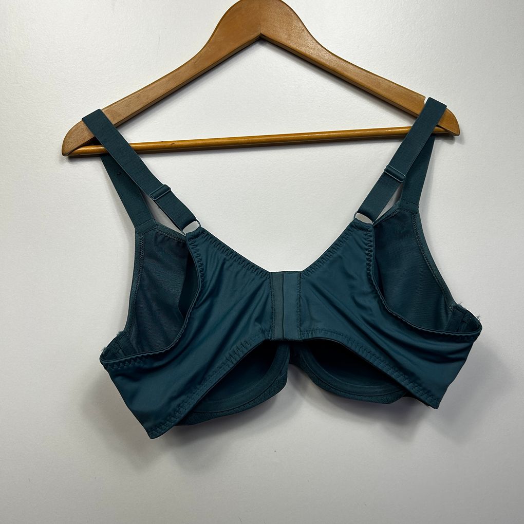 Taking Shape Teal Bra - Size 20C