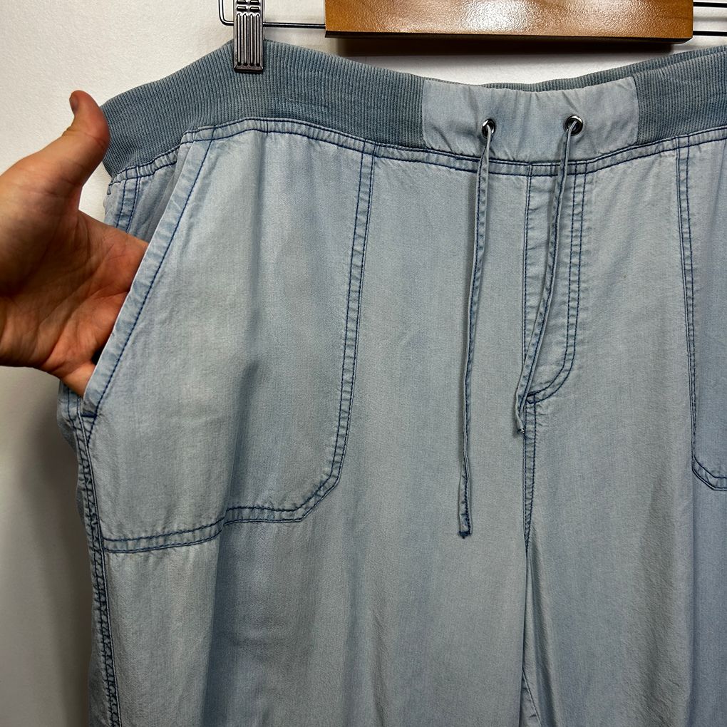 Target Light Blue Chambray Plus Size Joggers - Size 18