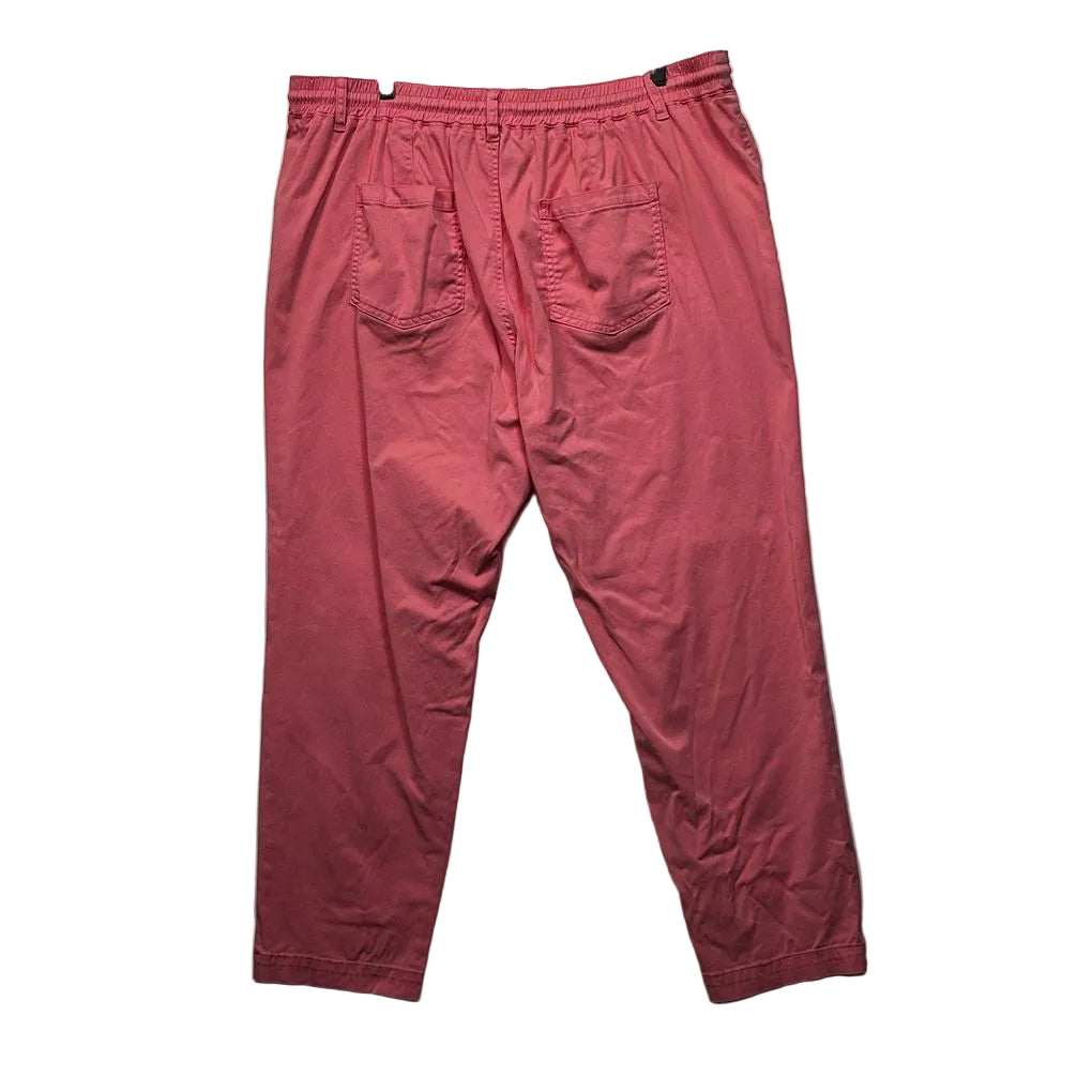 Virtuelle Pink Plus Size Cotton Pants - Size 20